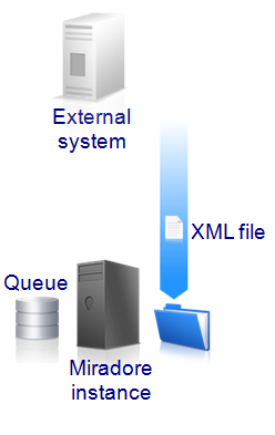 Asset data import